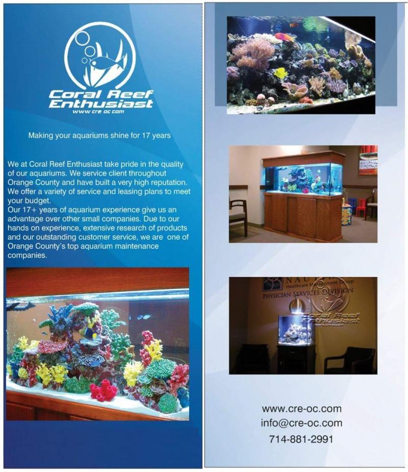brochure